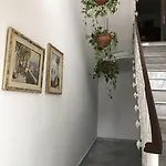 Dania Sorrento