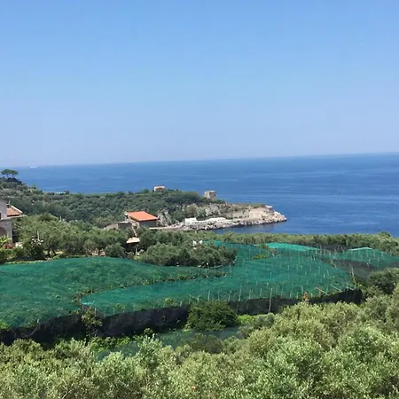 Dania Hotell Sorrento