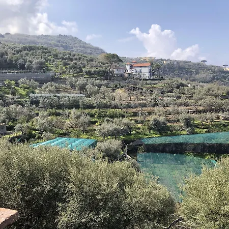 Отель Dania