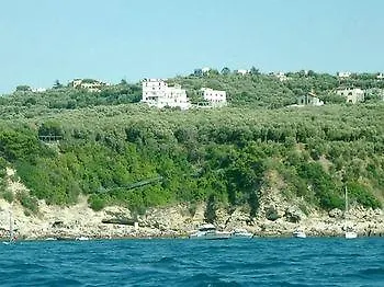 Dania 3* سورينتو