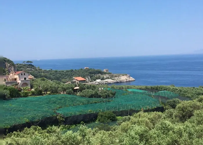 Dania Hotell Sorrento