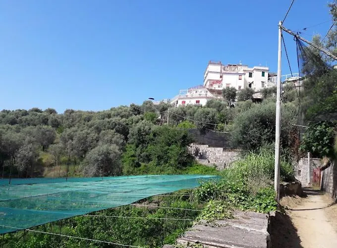 Hotell Dania Sorrento