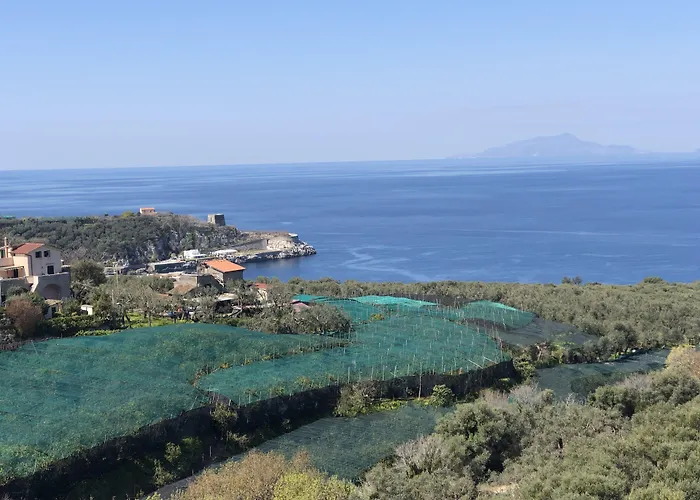 Hotell Dania Sorrento