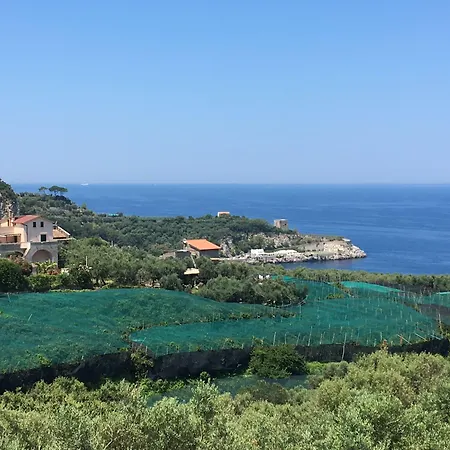 Dania Hotell Sorrento
