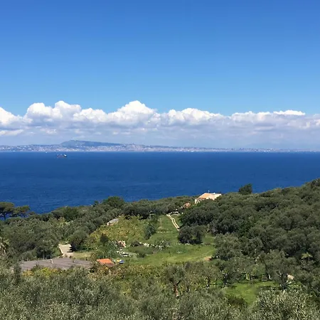 Dania 3* Σορέντο