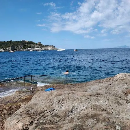 Ξενοδοχείο Dania 3*