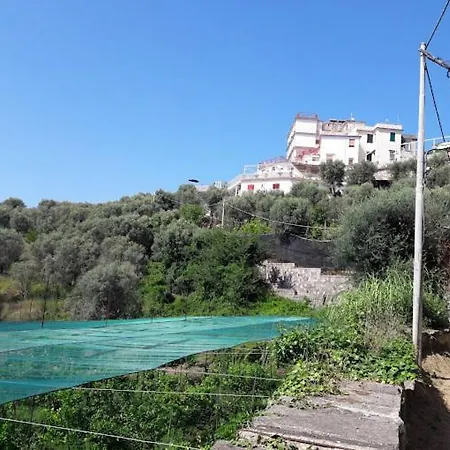 Hotell Dania Sorrento