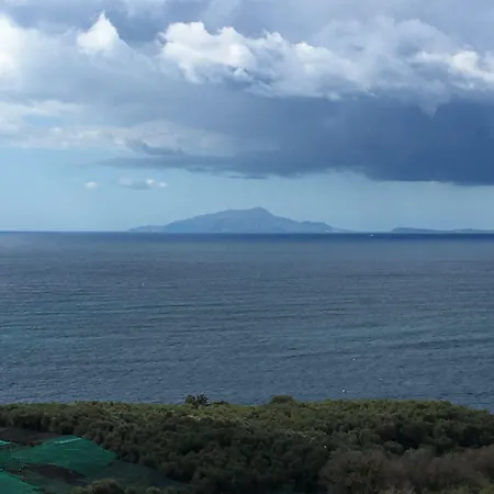 Ξενοδοχείο Dania 3*